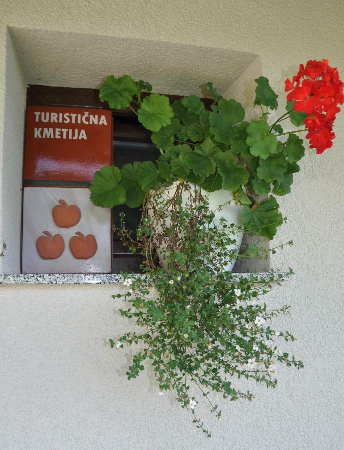 Zidanica Krstinc Villa Straza Bagian luar foto